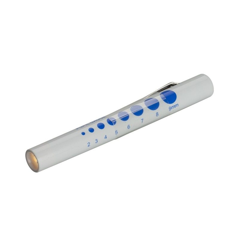 Penlykt