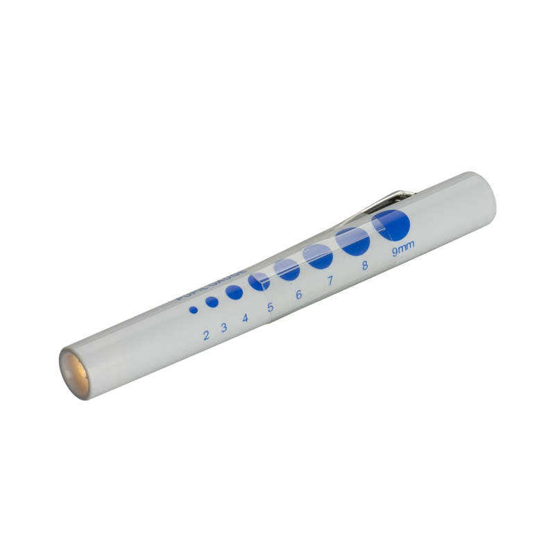 Penlykt